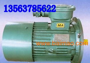 ybb30 4電動機 ybb電機dsb電機ybj電,ybb30 4電動機 ybb電機dsb電機ybj電生產(chǎn)廠家,ybb30 4電動機 ybb電機dsb電機ybj電價格