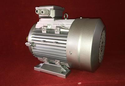 【山東EJIATE暢銷iMS YS系列鋁殼l高效率節(jié)能三相異步】?jī)r(jià)格_廠家_圖片 -